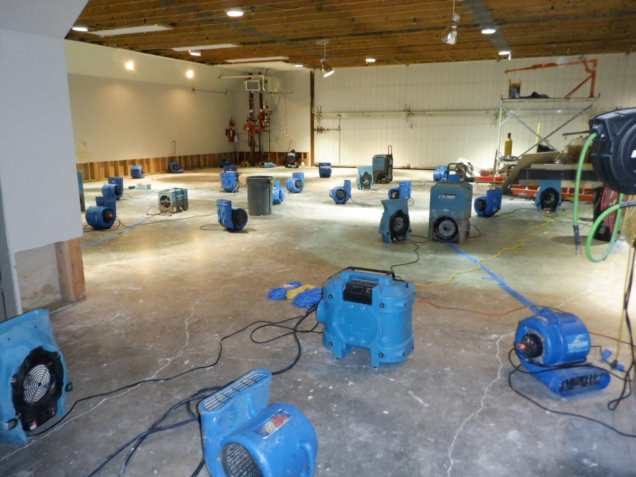 Why Does Water Damage Lead to Mold Growth - 4pros Restoration