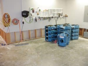 How to Prevent Mold Growth After Water Damage - 4Pros Restoration