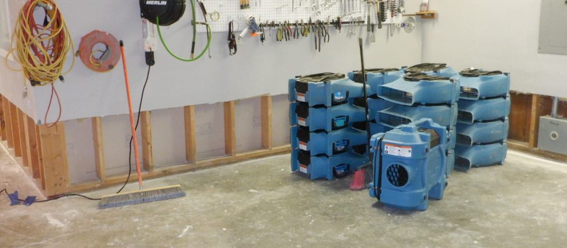 How to Prevent Mold Growth After Water Damage - 4Pros Restoration