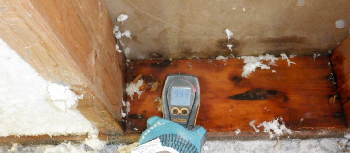 What Should You Do Immediately After Water Damage? - 4Pros Restoration