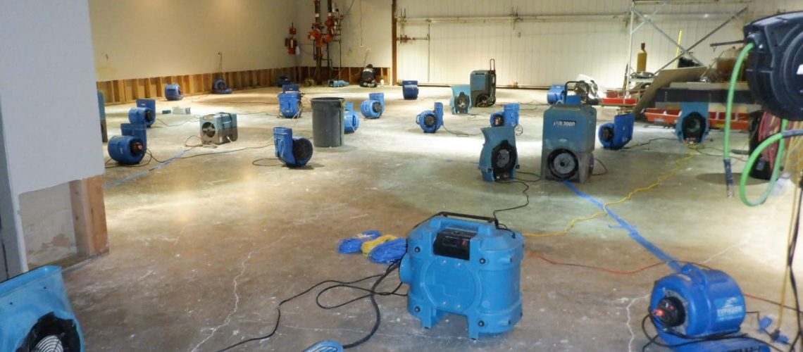 Why Does Water Damage Lead to Mold Growth - 4pros Restoration